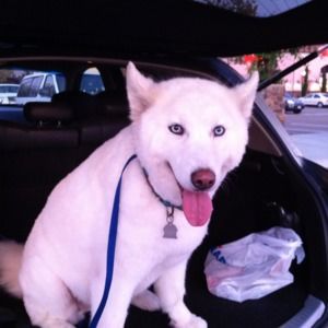 Meet your Posher, Stephen